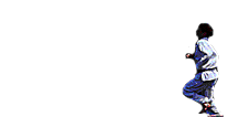gif anim artsmartiaux015.gif